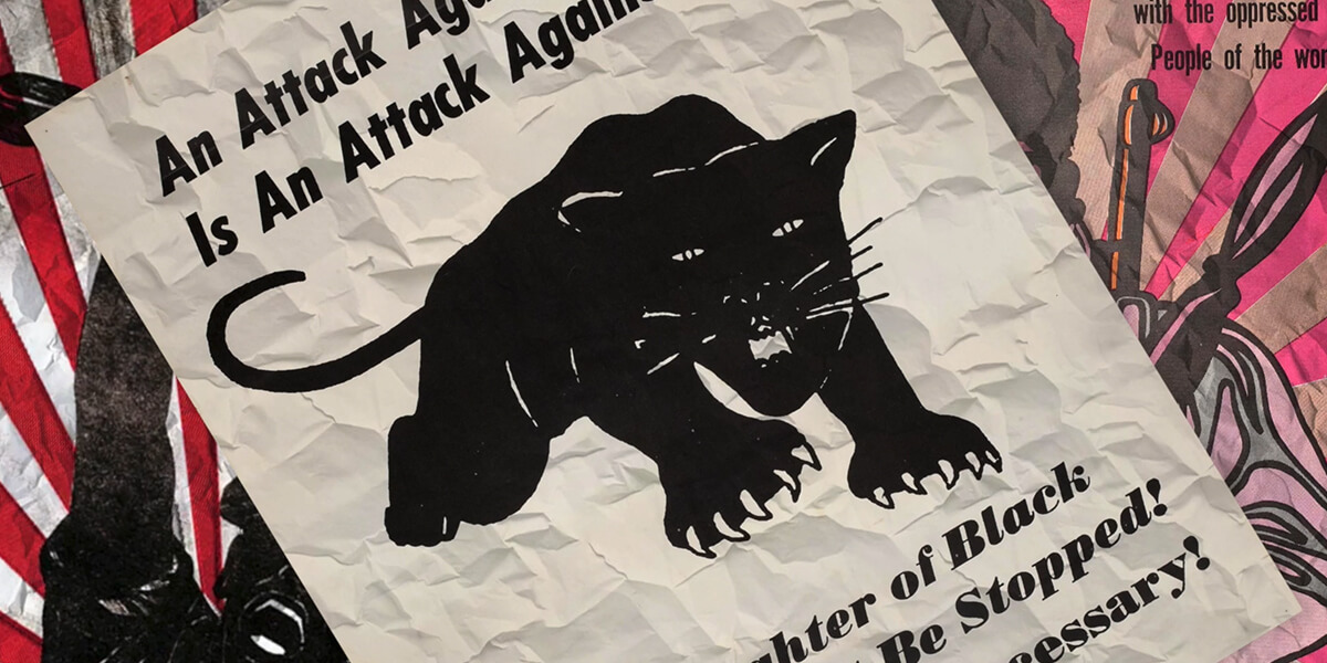 Nine Lives of a Black Panther: A Story of Survival